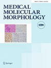 Medical Molecular Morphology雜志封面